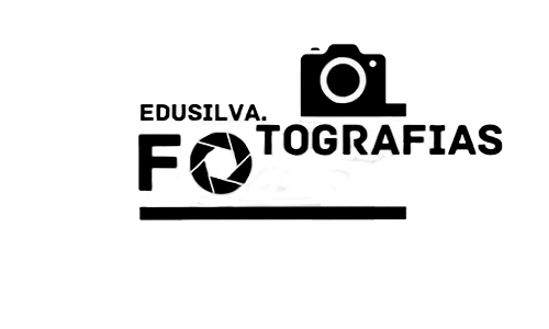 Sem Título-3
